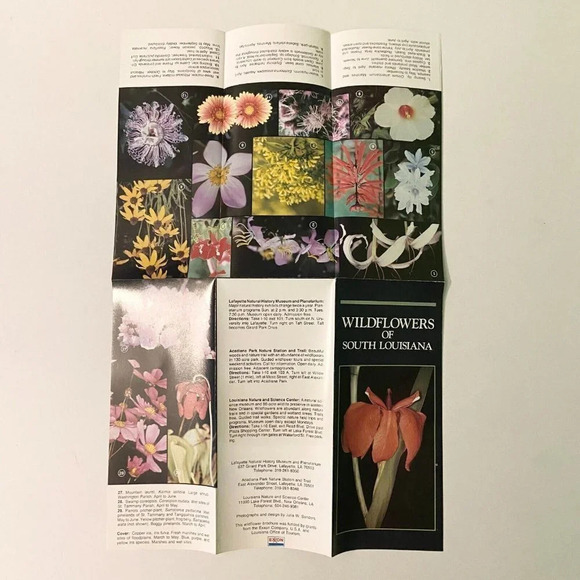 Vintage Lot of 4 Louisiana Brochures  Hodges Gardens Natchitoches Vernon Parish - Picture 5 of 16